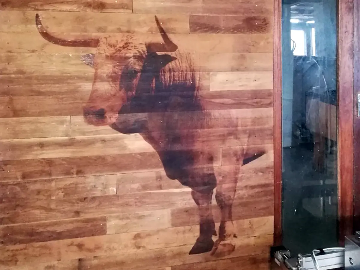 A large horn steer printed on a wall made of wood boards in a steak restaurant