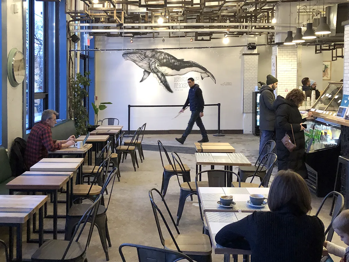 Swimming whale printed on drywall in a restaurant dining room